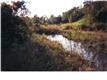 St Martinville