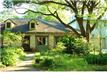 313  Thibodeaux Dr , Lafayette, LA