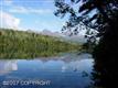 Chitina