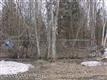 3401  Willow Place , Anchorage, AK