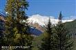Girdwood