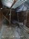 11744 W Easy Street, Houston, AK 99694