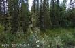 12158 Little John Drive, Houston, AK 99694