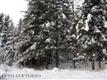 132  Beirne Street , Girdwood, AK
