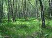L29  Ledyard Circle , Indian, AK