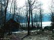 L30  Ledyard Circle , Indian, AK