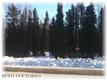 17336 W Willow Fishhook Road, Willow, AK 99688