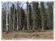 16403 E Lane Creek Street , Talkeetna, AK