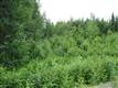 1900 S Lincoln Drive, Wasilla, AK 99654
