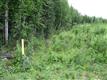 1900 S Lincoln Drive, Wasilla, AK 99654