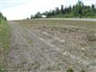 1850 S Lincoln Drive, Wasilla, AK 99654