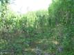 1950 S Lincoln Drive, Wasilla, AK 99654