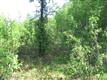 1950 S Lincoln Drive, Wasilla, AK 99654