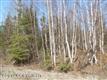 7061 W Bruns Drive , Wasilla, AK