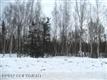 4977 N Charley Drive , Wasilla, AK