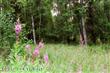 1620 N Bow Street , Wasilla, AK