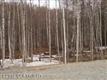 8905 N Mike Ardaw Road, Willow, AK 99688