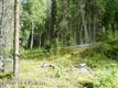 50411 S Caswell Creek Circle, Willow, AK 99688