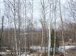 21528  Tony Circle , Chugiak, AK