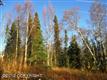 6677 N Sunset Drive , Wasilla, AK