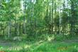 1541 S Leora Drive , Big Lake, AK