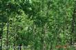 9010 S Angel Street , Big Lake, AK