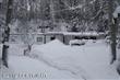 24043  Park Circle , Chugiak, AK