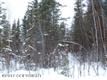 7061 W Bruns Drive , Wasilla, AK