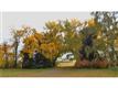   # , Rural Wheatland County, AB
