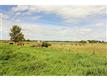 # 242046 RNG.  RD. 254, Rural Wheatland County, AB T1P 1K1
