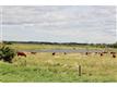 # 242046 RNG.  RD. 254, Rural Wheatland County, AB T1P 1K1