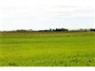 # 242046 RNG.  RD. 254, Rural Wheatland County, AB T1P 1K1