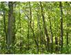 10052 S Wildlife Ridge , Manchester, MI