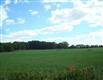 0 E North Territorial Rd, Northfield, MI 48105