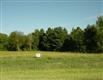8590 Black Pine Lane, Webster, MI 48130