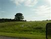 8585  Black Pine Lane , Webster, MI