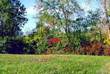 8675  Pingree , Putnam, MI
