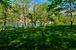 3  Itetbury Lane , Bella Vista, AR