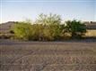 10632 W Carousel Drive 
