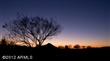 10418 E Palo Brea Drive, Scottsdale, AZ 85262