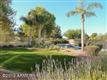 1807 W Falcon Drive , Chandler, AZ