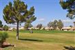15618 W Fairmount Avenue , Goodyear, AZ
