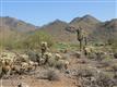 19251 N 102nd Street, Scottsdale, AZ 85255