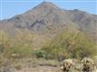 19251 N 102nd Street, Scottsdale, AZ 85255