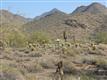 19251 N 102nd Street, Scottsdale, AZ 85255