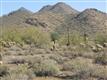 19251 N 102nd Street, Scottsdale, AZ 85255