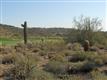19251 N 102nd Street, Scottsdale, AZ 85255