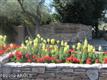 8245 E Via Del Sol Drive , Scottsdale, AZ