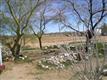 50845 N 439th Avenue, Wickenburg, AZ 85390