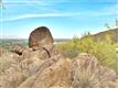6010 E Cholla Lane , Paradise Valley, AZ